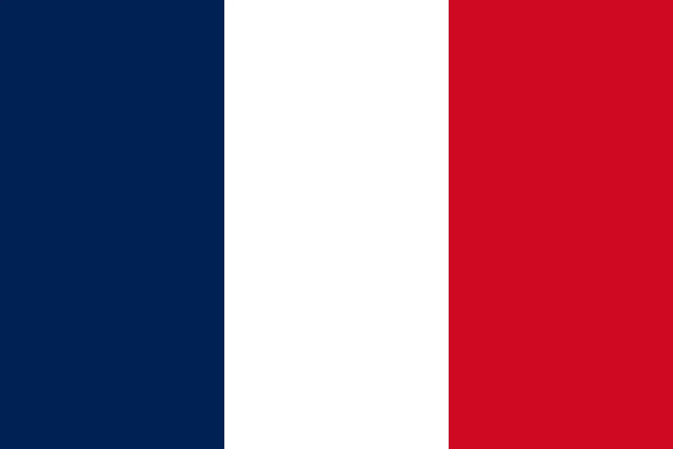 Vertical tricolor flag of France: blue, white, and red bands from left to right.